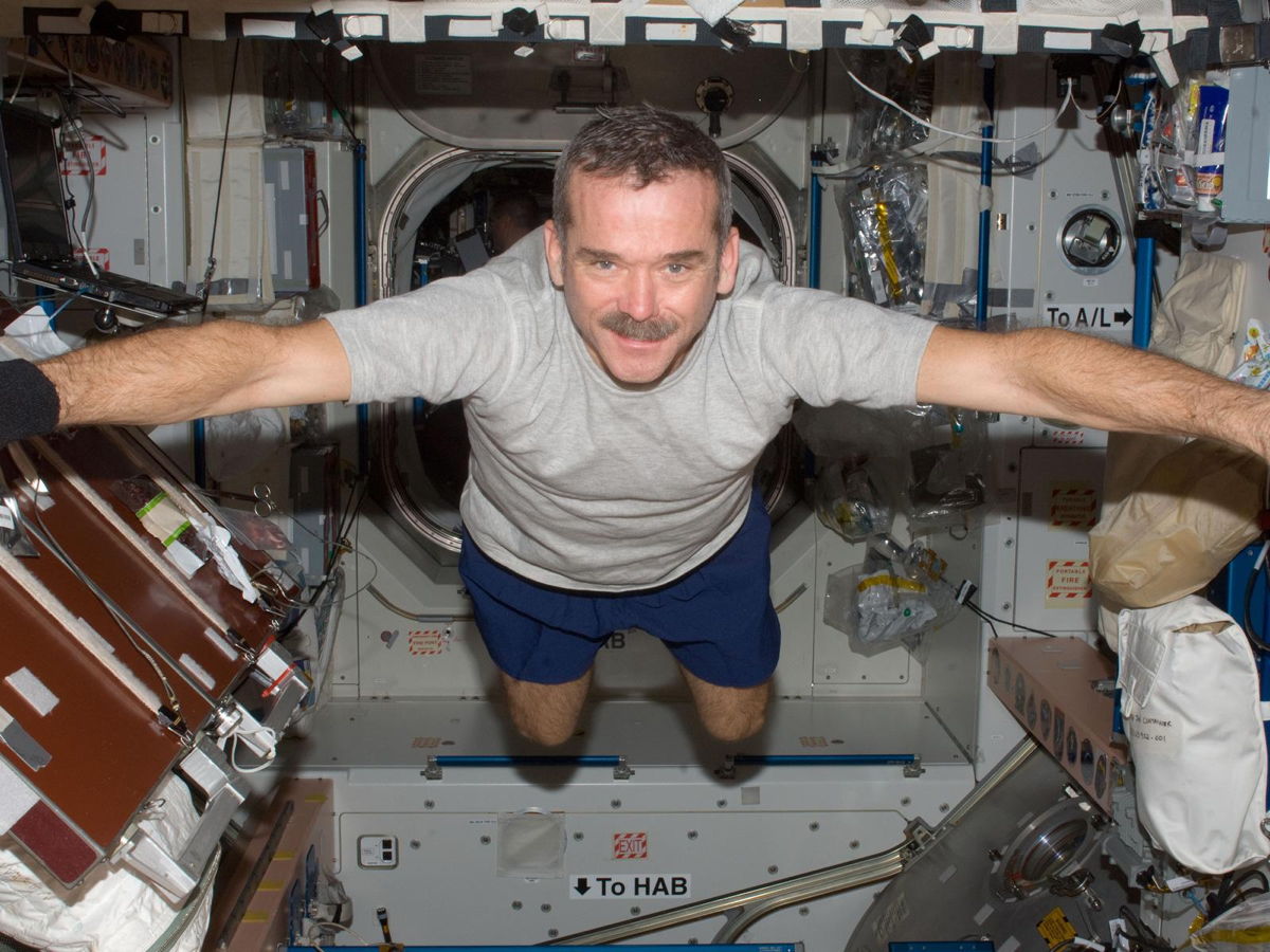 What's Next for Astronaut Chris Hadfield?